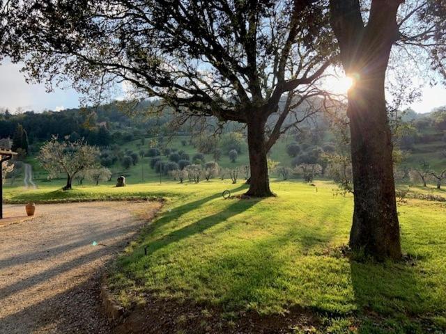 Podere Montaione Вольтерра Экстерьер фото